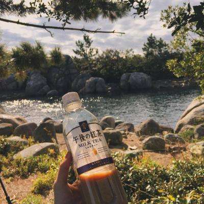 贝博bb平台体育全站版截图