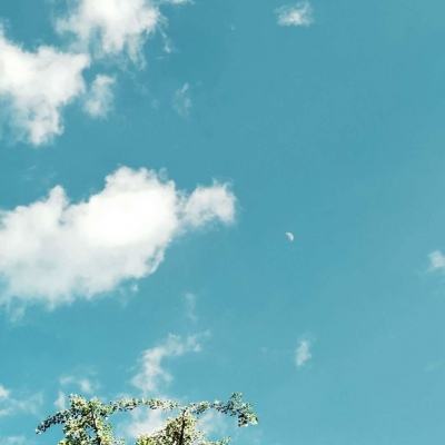 开元im电竞官网